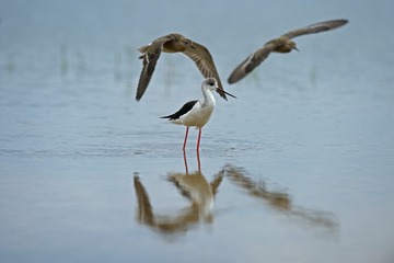 1662656