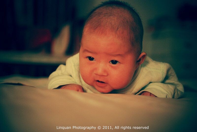 11月3日 妞妞<br />
Day 66 每天一有机会就让妞妞趴着玩会儿