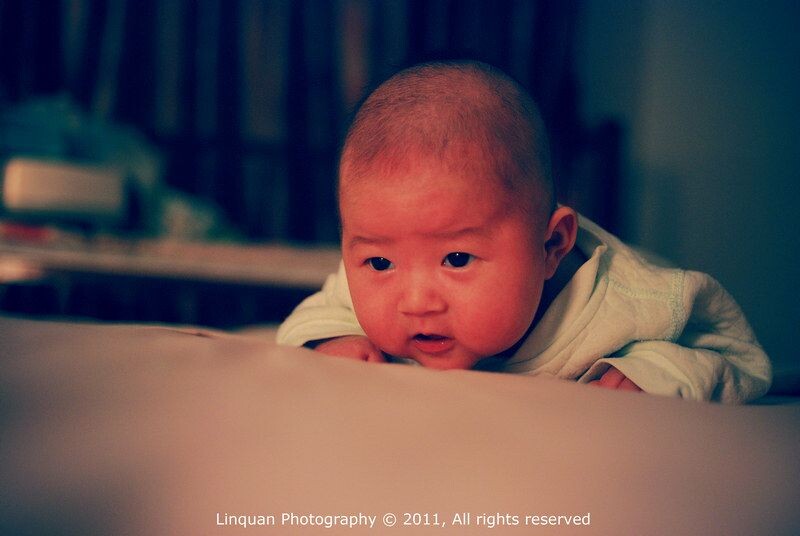 11月3日 妞妞<br />
Day 66 每天一有机会就让妞妞趴着玩会儿