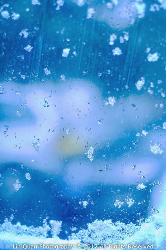 Jan 03,2013 随拍<br />
雪
