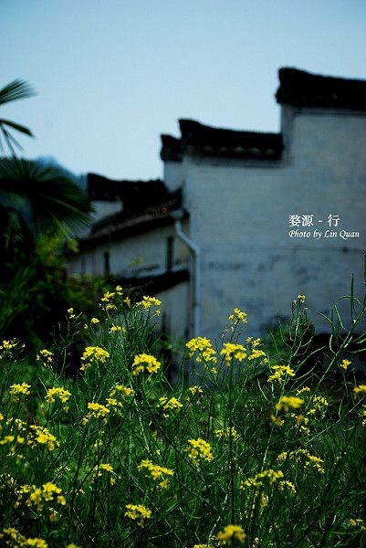 婺源-行<br />
