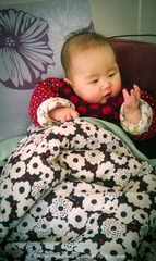 IMAG0244ps.jpg