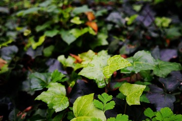 DSC01712_