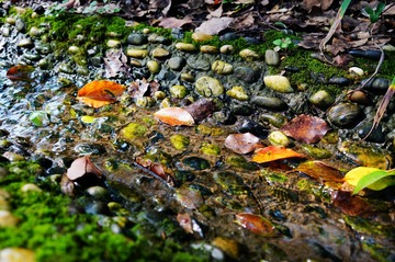 DSC01846_