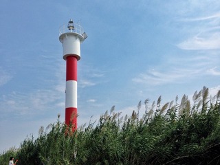 6970a1a4gw1ewp5jga43tj22io1w0kjm