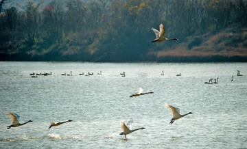 DSC_0256_