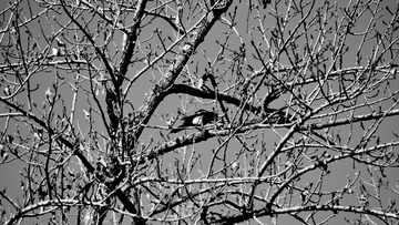 DSC_0020_