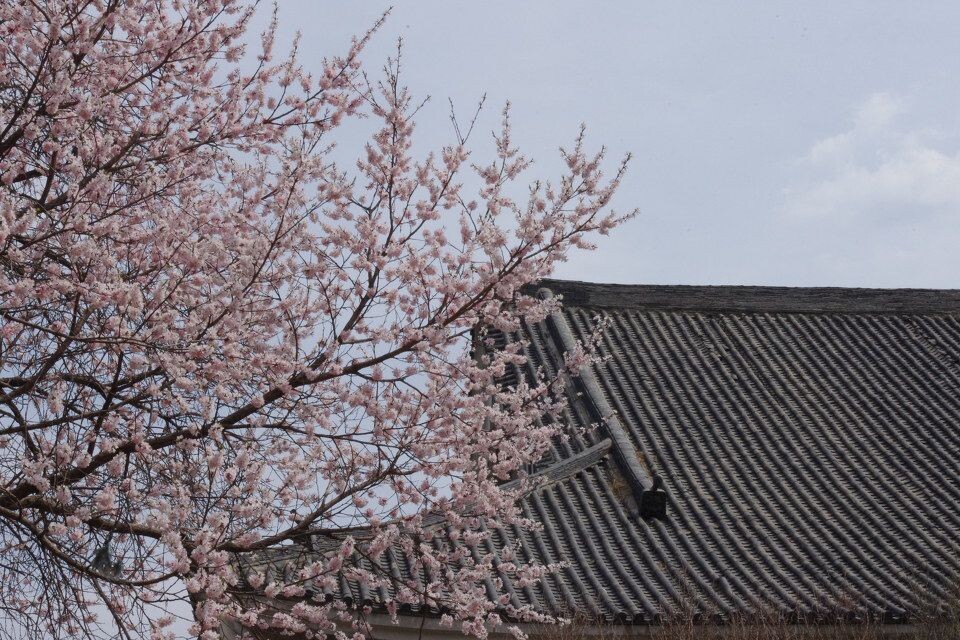 有种日本的韵味吧？<br />

