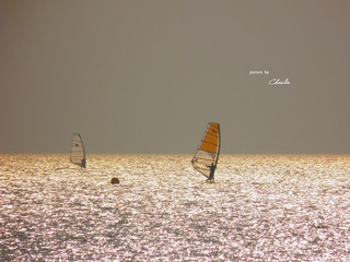 PC101273