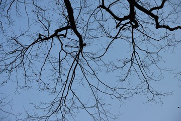 _P3M0266