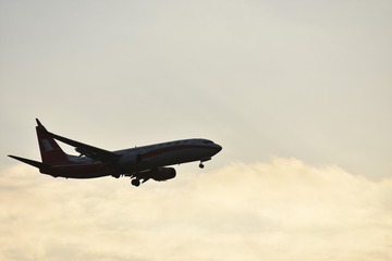 787633