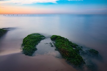DSC_8471_