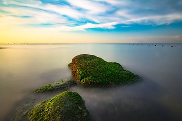 DSC_8479_