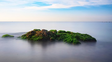 DSC_8485_
