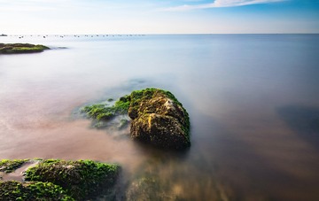 DSC_8490_