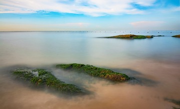 DSC_8491_