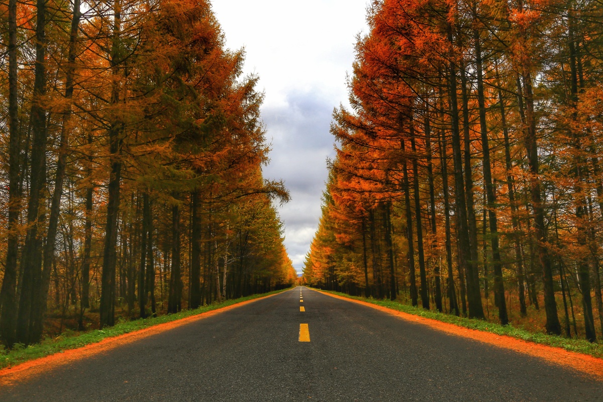 中国最美公路之黑龙江乌带公路.