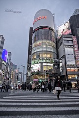 IMG_4794_1.jpg
