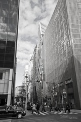 IMG_5029.jpg