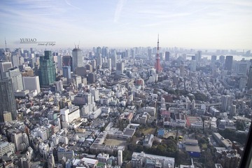 IMG_3736_1.jpg