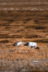 _DSC8133