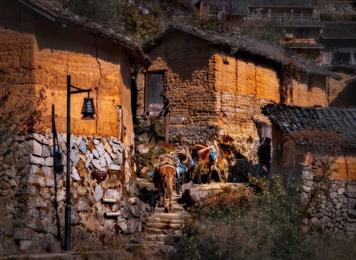 乡间小道上 这是一个隐世小乡村(云和县白银谷坑根村),800多年的历史,