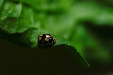 6F95B86B-10D0-4C16-8864-D070A6BE9120/L0/001
