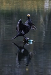 548189