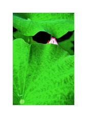 Scan-170603-0031