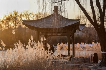 DSC_0722-1