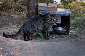 DSC_0930-1