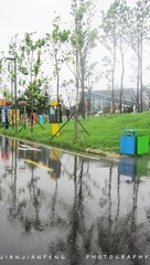 IMG_4501.jpg