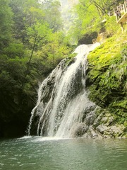 金丝大峡谷