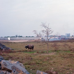 Scan-191212-0001