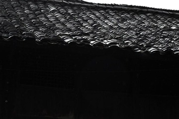 _DSC0631.jpg