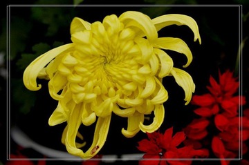_DSC0080.jpg