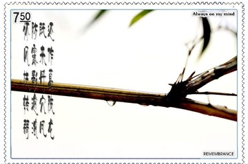 _DSC0193_conew1.jpg