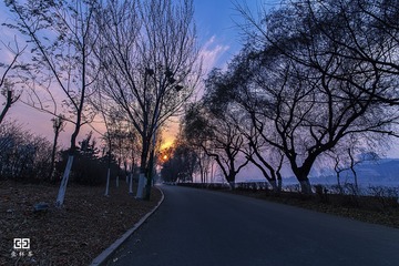 IMG_6881-w