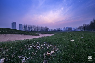 IMG_6894-w