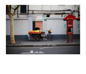 IMG_0828_