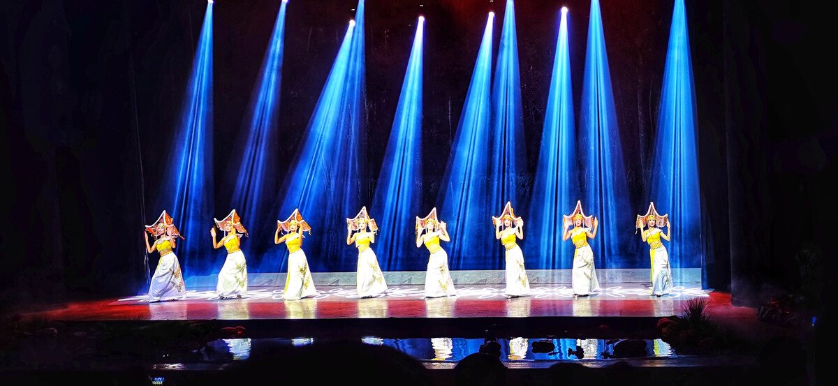 水族舞蹈視頻,中國民族民間舞考級12級