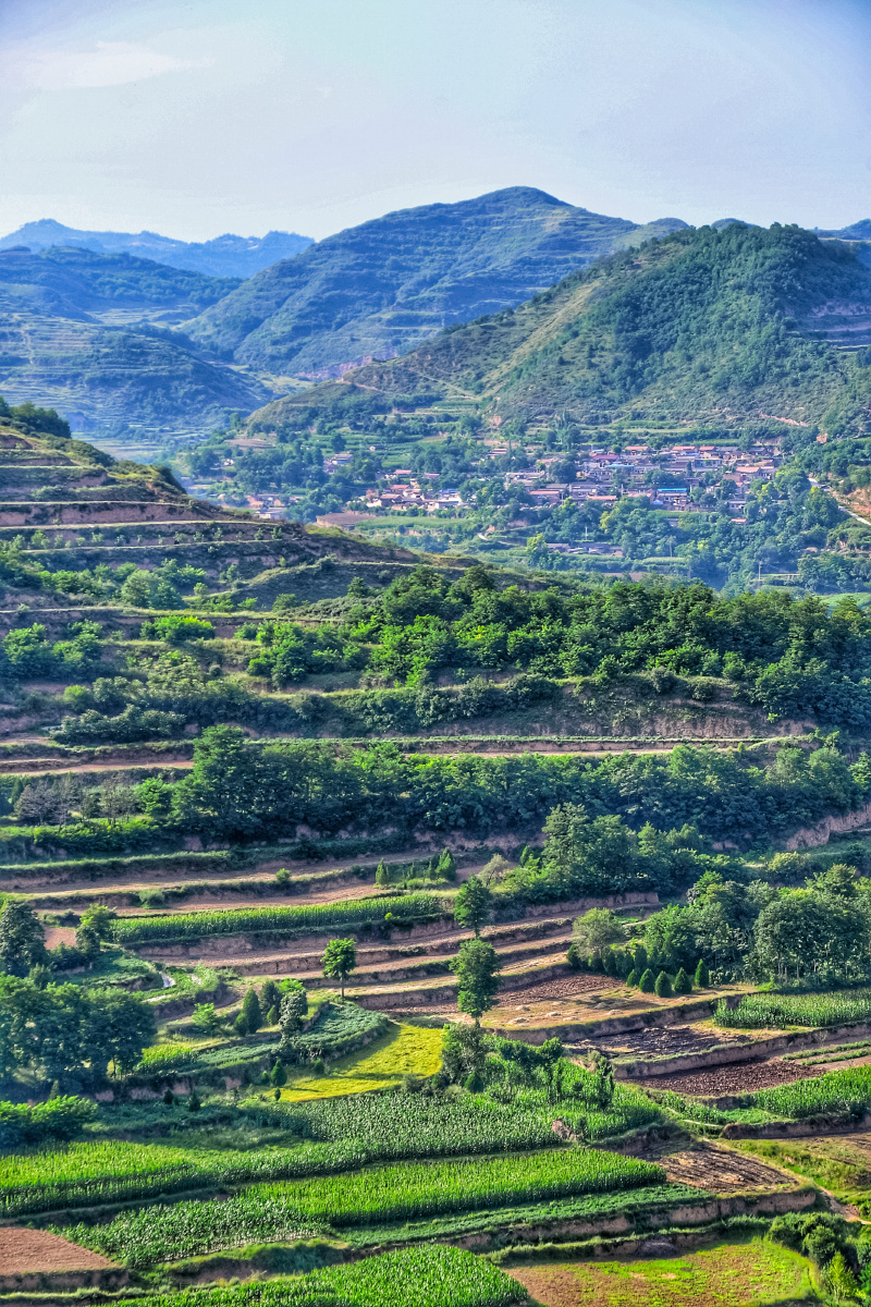 青山绿水美丽乡村