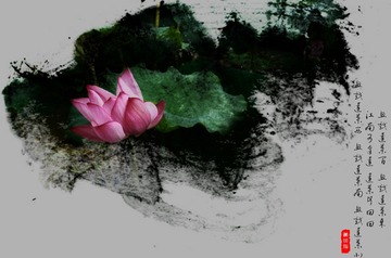荷11