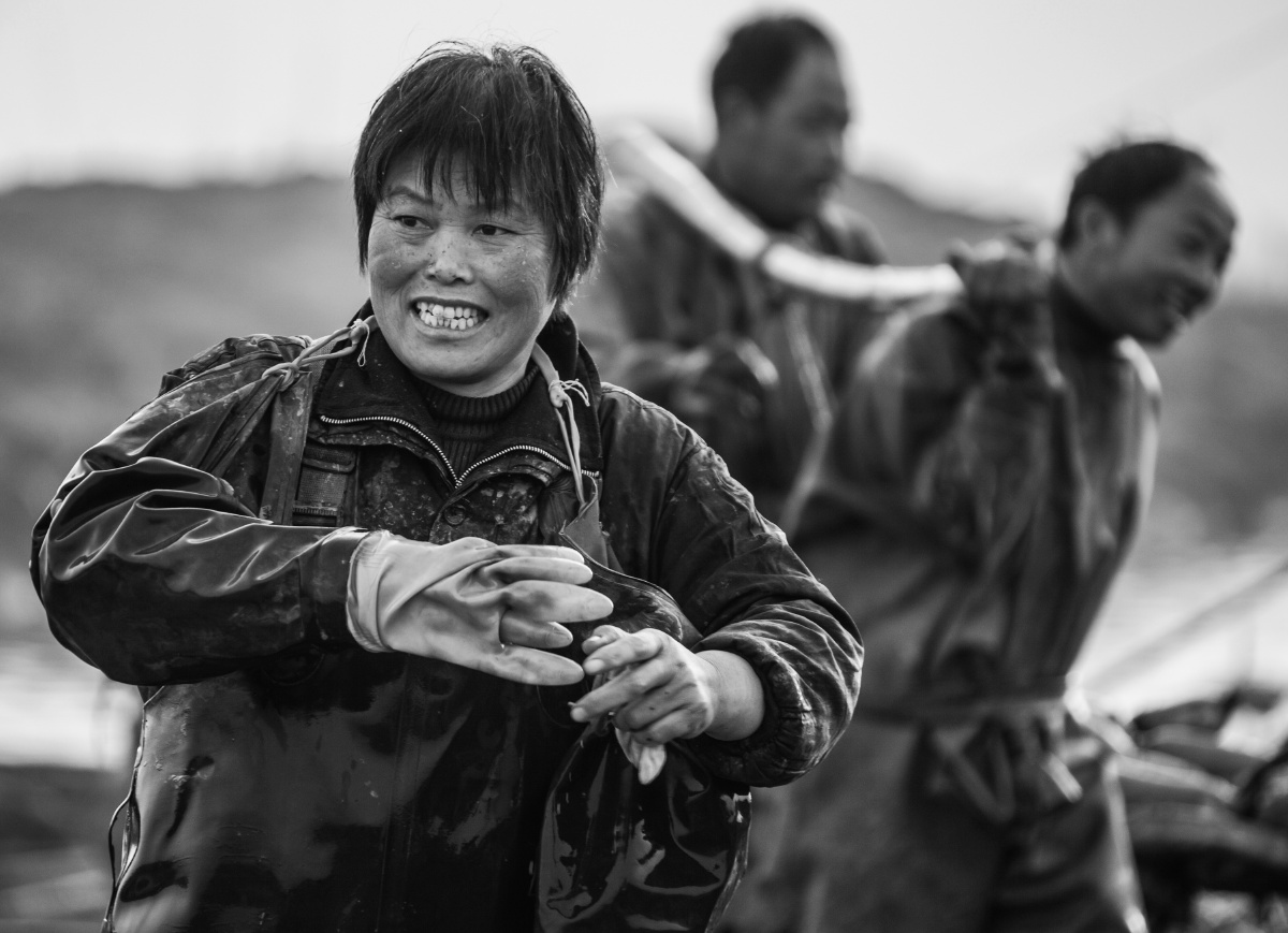 挖藕场女工很少,但是干活也不输男工.