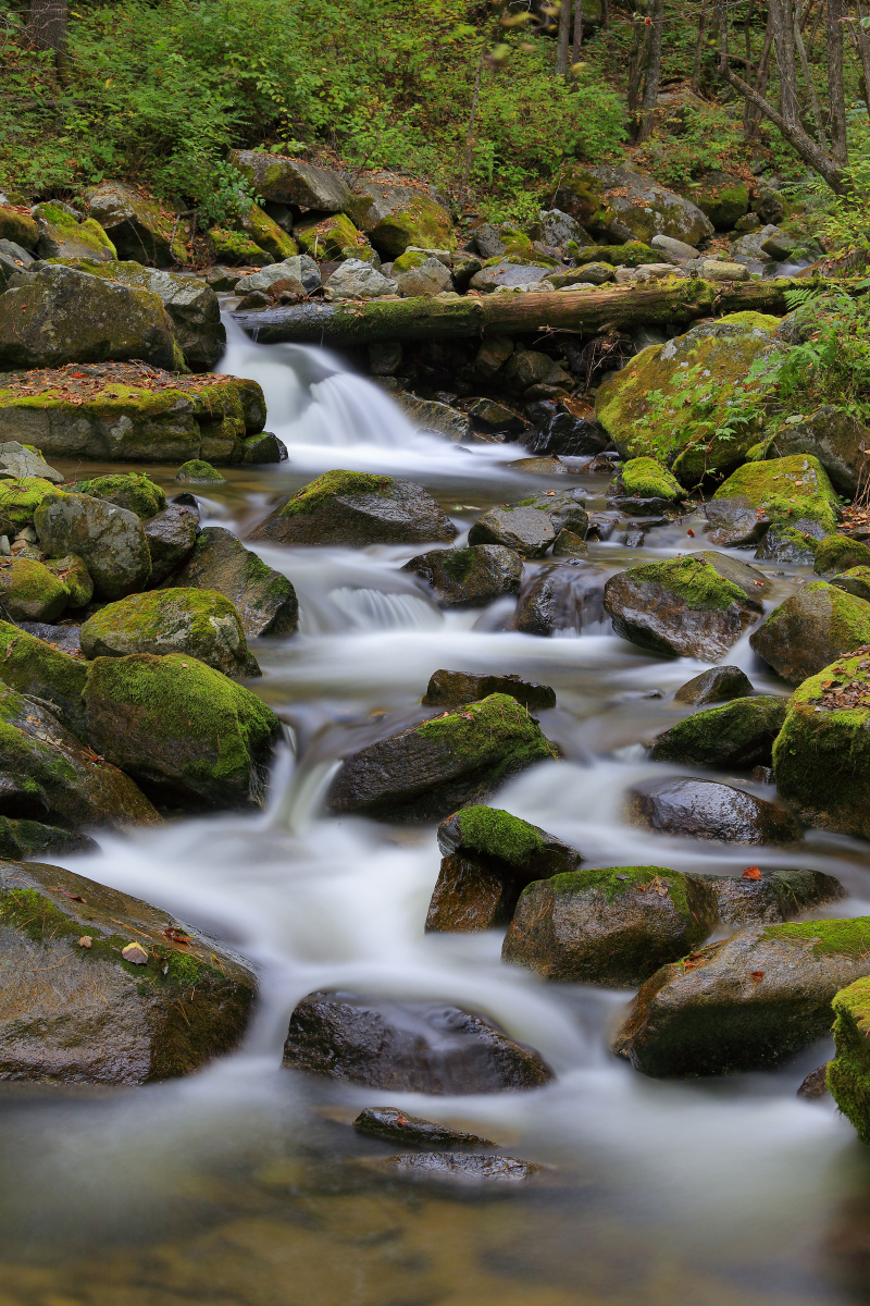 小溪幽幽 - 蓝七星 - 图虫