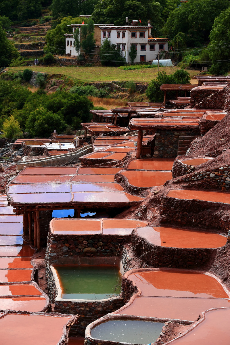 西藏芒康千年古盐田