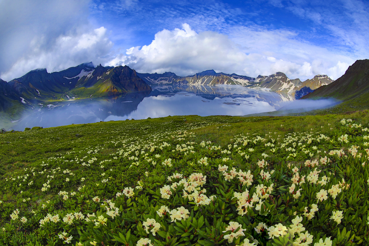长白春色美如画
