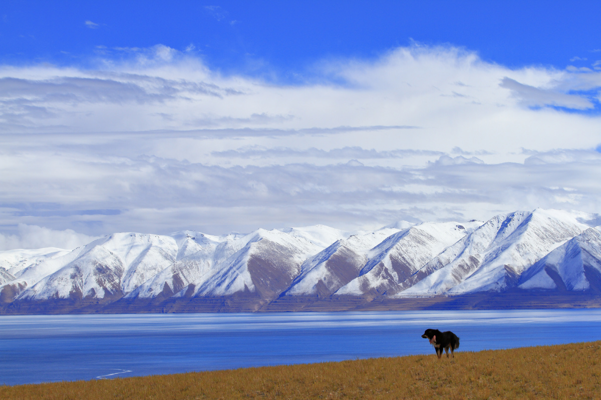 西藏那曲尼玛县当惹雍措与达果雪山自然风光.
