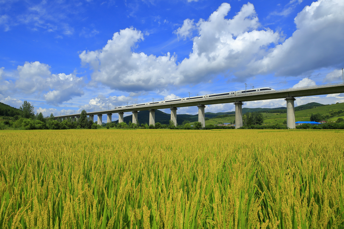 金秋高铁