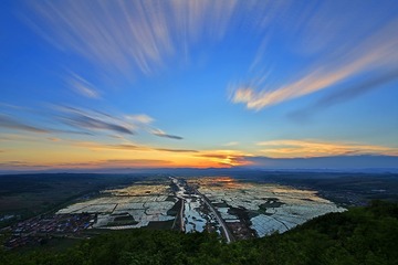东城风光